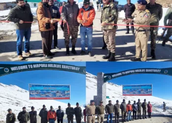 Mughal Road Opens in February for the First Time After Snow Clearance; Traffic to Resume After Green Signal
