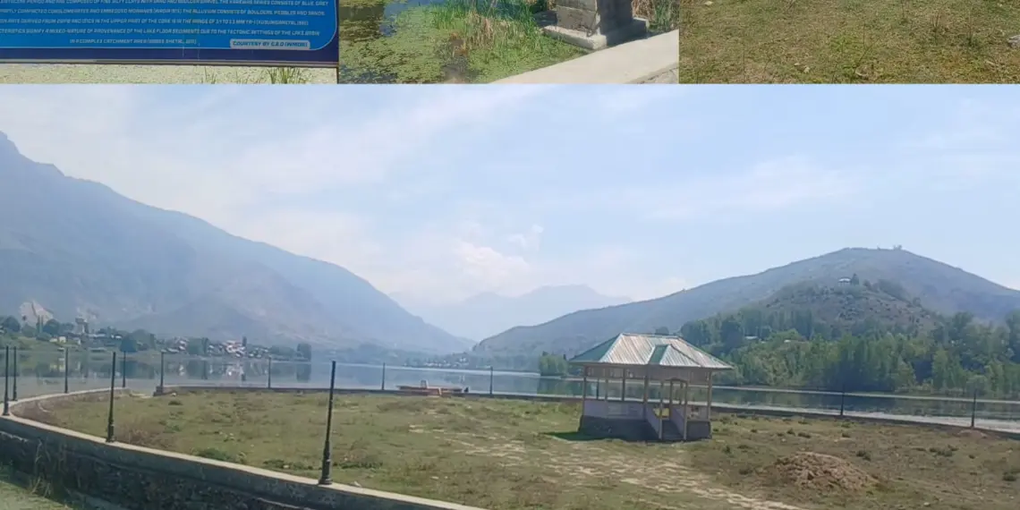 “Nainara Island Can Be a Tourist Gem, Govt Must Act”: Sonawari Locals