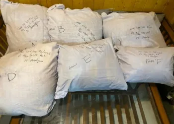 Pahalgam Police Seize 24.5 Kg of Bhang Leaves After Suspect Flees Into Forest