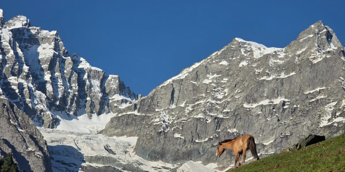Reviving Kashmir Tourism After Pahalgam