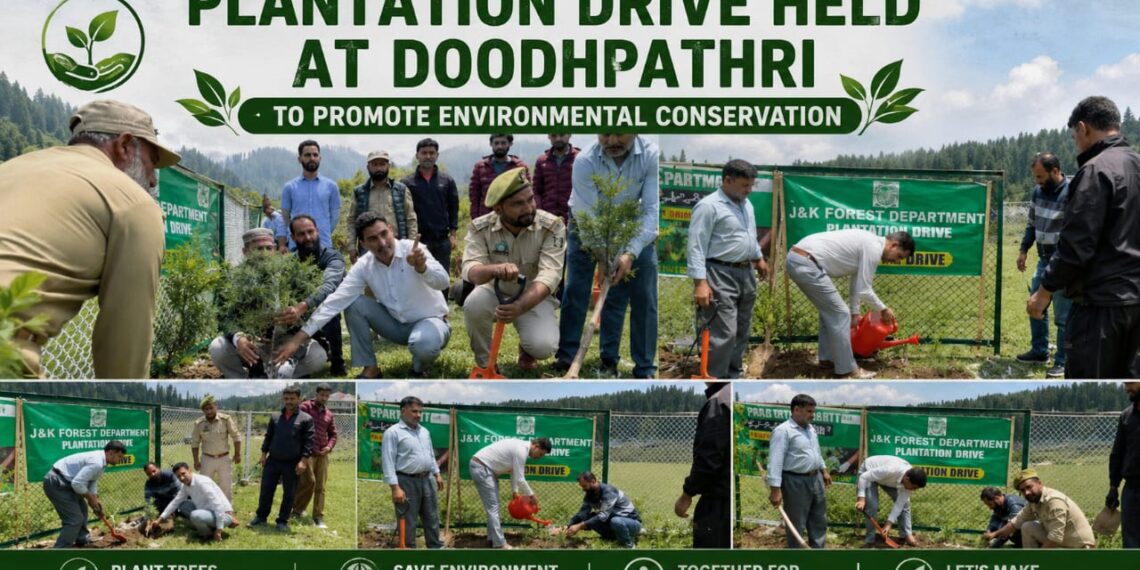 Plantation Drive Held at Doodhpathri to Promote Environmental Conservation