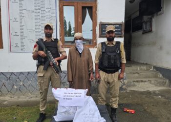 Shopian Police Arrest Drug Peddler, 2.472 Kg Cannabis-Like Substance Recovered
