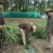 Srinagar Police Intensifies Action Against Illicit Poppy Cultivation under Nasha Mukt Jammu & Kashmir Abhiyan