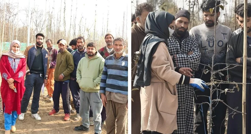 Qul Fruits Empowers J&K Farmers with 152 Pruning Workshops