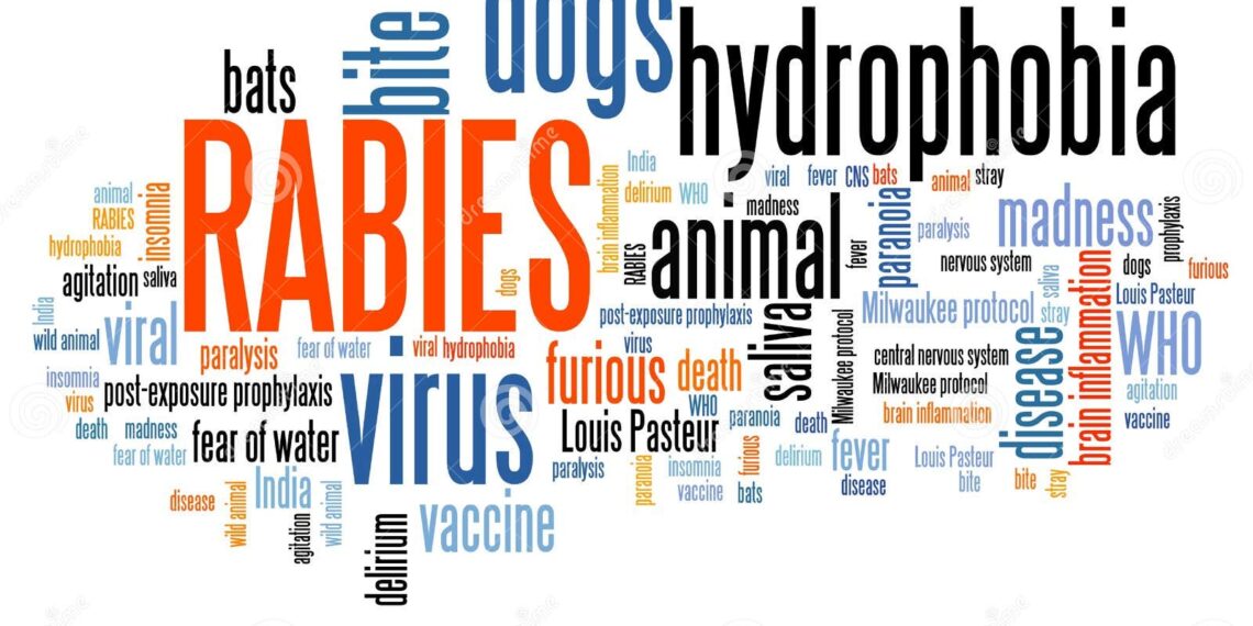 Govt declares Human Rabies a notifiable disease