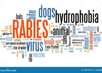 Govt declares Human Rabies a notifiable disease