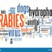 Govt declares Human Rabies a notifiable disease