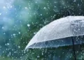 Light Rain, Snow Likely at Higher Reaches; Director MET