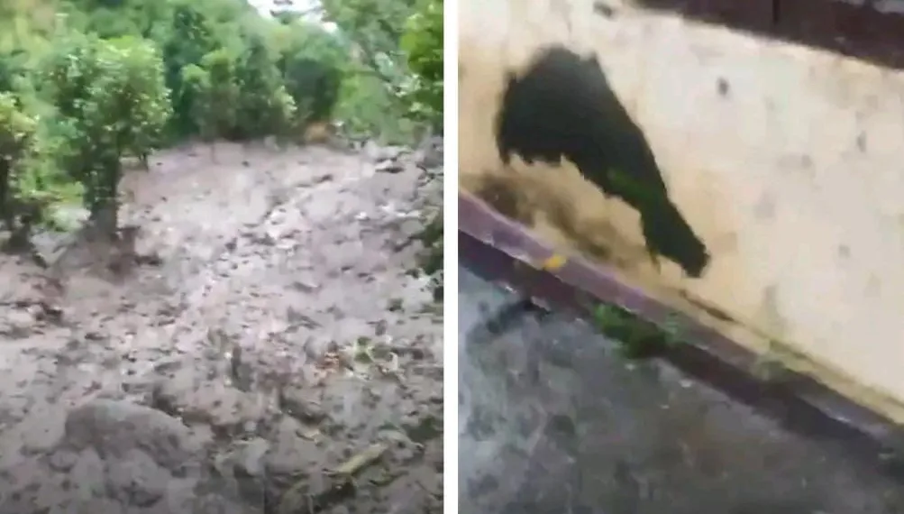 Three Dead, Many Missing as Cloudburst Struck Rajgarh Ramban; Rescue Op Underway