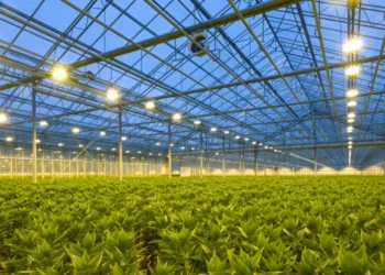 Seasonal Greenhouse: Combating Weather Constraints