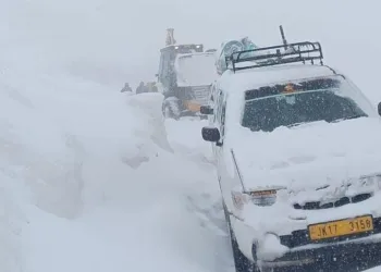 Several Vehicles Trapped Near Sinthan Top After Heavy Snowfall; Rescue Team Rushed to Spot