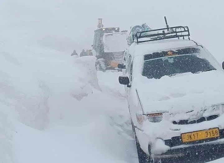 Several Vehicles Trapped Near Sinthan Top After Heavy Snowfall; Rescue Team Rushed to Spot