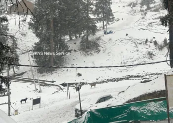 Chilla-e-Kalan Sets In Across Kashmir as Rain, Snow Break Prolonged Dry Spell