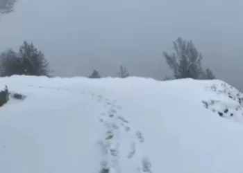 Heavy Snowfall Closes Sadhna Top, Authorities Set Up Control Rooms