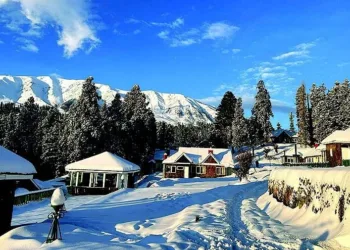 Kashmir Solidarity Day: Pakistan’s Propaganda Facade Exposed