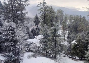 Fresh Snowfall At Zojila, Srinagar-Kargil Highway Closed For Traffic