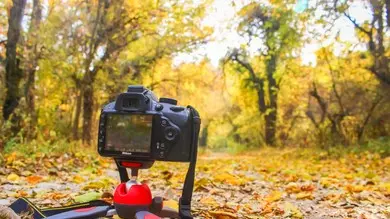 کشمیر کی طلسمانی خوبصورتی کی دلفریب کہانیاں ، فوٹو گرافی کے ذریعے