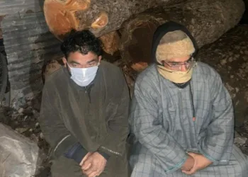 Timber Smuggling Racket bursted, Two Arrested with Illegally Cut Forest Logs