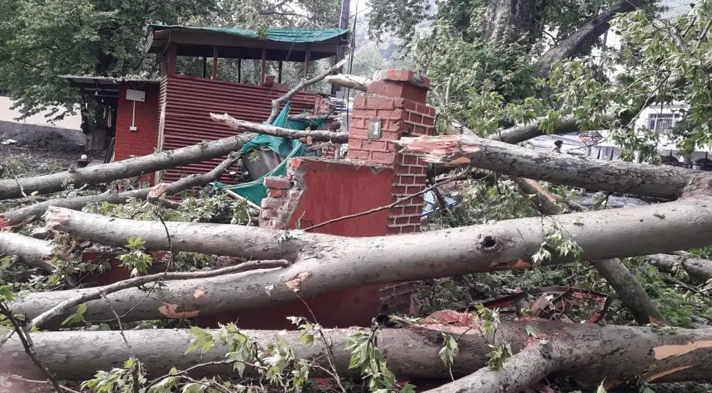 CRPF Jawan Injured After Tree Falls on Bunker Near Amar Singh Club Srinagar