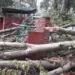 CRPF Jawan Injured After Tree Falls on Bunker Near Amar Singh Club Srinagar