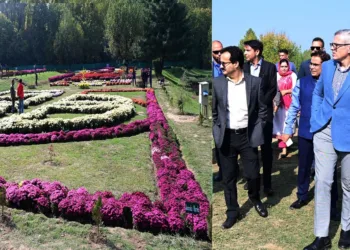 “Chrysanthemum Garden Will Redefine Autumn Tourism in Kashmir”: CM Omar Abdullah