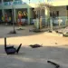 Five More Miscreants Arrested for Disrupting Sopore Student Protests, 13 More Identified