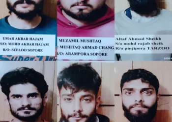Sopore Police Detain Six Under PSA for Vandalism, Public Disorder