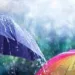 Erratic Weather Ahead in J&K; MeT Predicts Rain, Thunderstorms, Hailstorm Till May 4